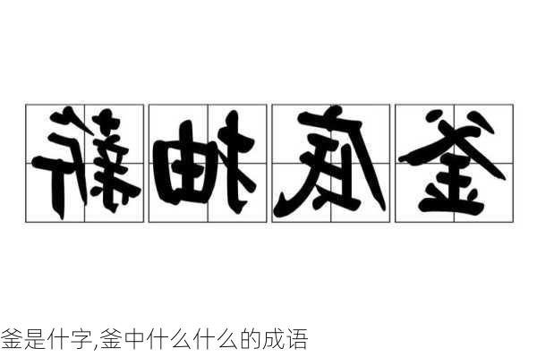 釜是什字,釜中什么什么的成语