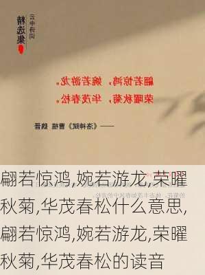 翩若惊鸿,婉若游龙,荣曜秋菊,华茂春松什么意思,翩若惊鸿,婉若游龙,荣曜秋菊,华茂春松的读音