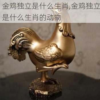 金鸡独立是什么生肖,金鸡独立是什么生肖的动物