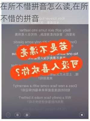 在所不惜拼音怎么读,在所不惜的拼音