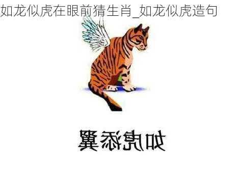 如龙似虎在眼前猜生肖_如龙似虎造句