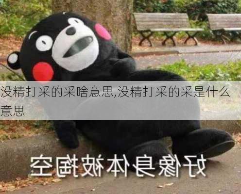 没精打采的采啥意思,没精打采的采是什么意思