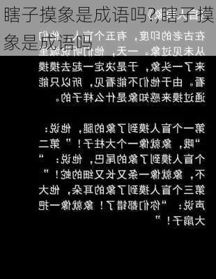 瞎子摸象是成语吗?,瞎子摸象是成语吗