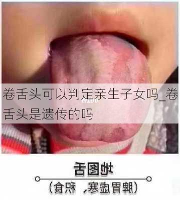 卷舌头可以判定亲生子女吗_卷舌头是遗传的吗