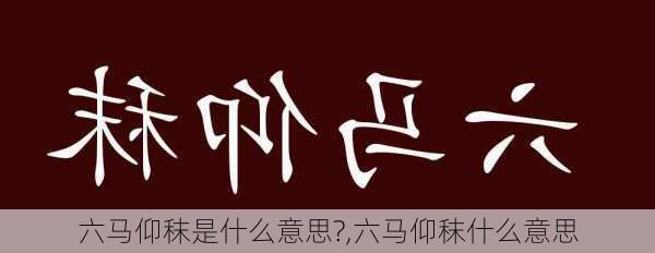 六马仰秣是什么意思?,六马仰秣什么意思