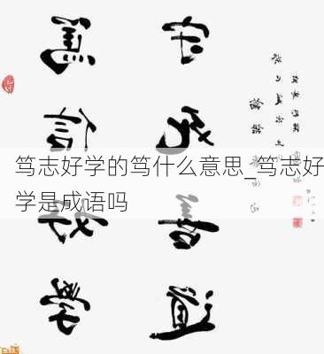 笃志好学的笃什么意思_笃志好学是成语吗