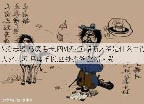 人穷志短,马瘦毛长,四处碰壁,路断人稀是什么生肖,人穷志短,马瘦毛长,四处碰壁,路断人稀