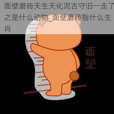 面壁磨砖天生天化泥古守旧一走了之是什么动物_面壁磨砖指什么生肖