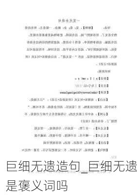 巨细无遗造句_巨细无遗是褒义词吗