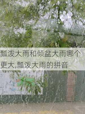 瓢泼大雨和倾盆大雨哪个更大,瓢泼大雨的拼音