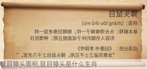 鼠目獐头面相,鼠目獐头是什么生肖