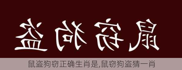 鼠盗狗窃正确生肖是,鼠窃狗盗猜一肖