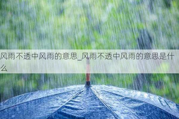 风雨不透中风雨的意思_风雨不透中风雨的意思是什么