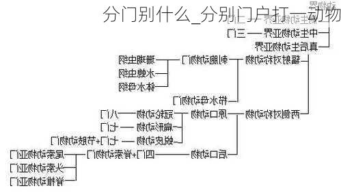 分门别什么_分别门户打一动物