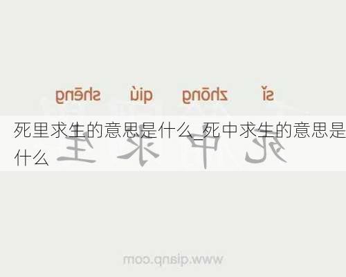 死里求生的意思是什么_死中求生的意思是什么