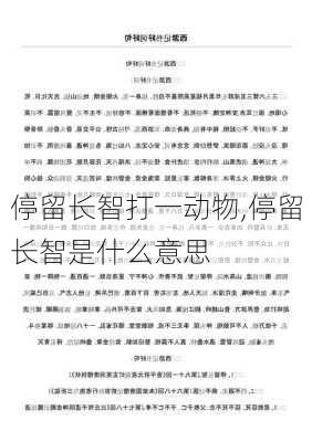 停留长智打一动物,停留长智是什么意思