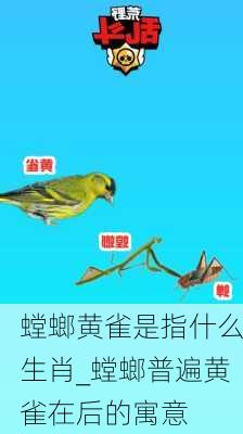 螳螂黄雀是指什么生肖_螳螂普遍黄雀在后的寓意