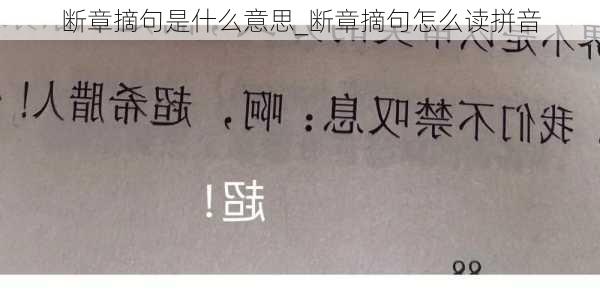 断章摘句是什么意思_断章摘句怎么读拼音