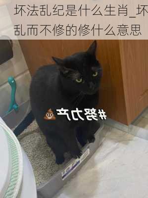 坏法乱纪是什么生肖_坏乱而不修的修什么意思