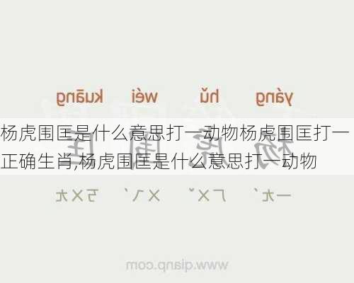 杨虎围匡是什么意思打一动物杨虎围匡打一正确生肖,杨虎围匡是什么意思打一动物