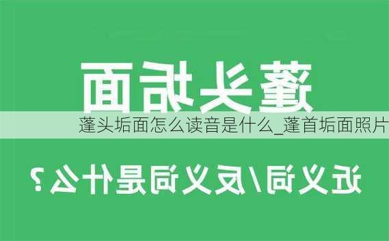 蓬头垢面怎么读音是什么_蓬首垢面照片