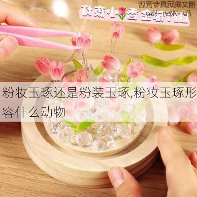 粉妆玉琢还是粉装玉琢,粉妆玉琢形容什么动物