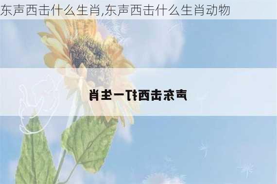 东声西击什么生肖,东声西击什么生肖动物