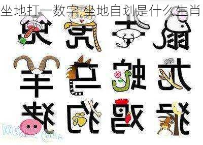 坐地打一数字,坐地自划是什么生肖