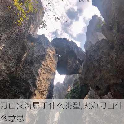 刀山火海属于什么类型,火海刀山什么意思