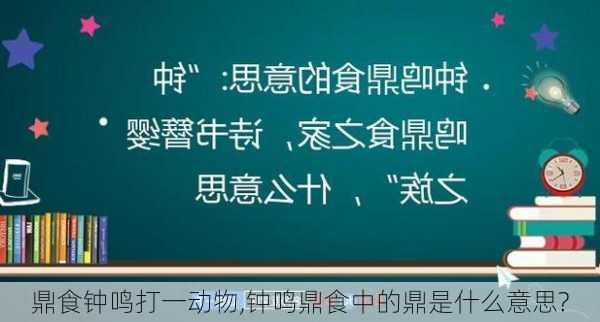 鼎食钟鸣打一动物,钟鸣鼎食中的鼎是什么意思?