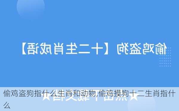 偷鸡盗狗指什么生肖和动物,偷鸡摸狗十二生肖指什么