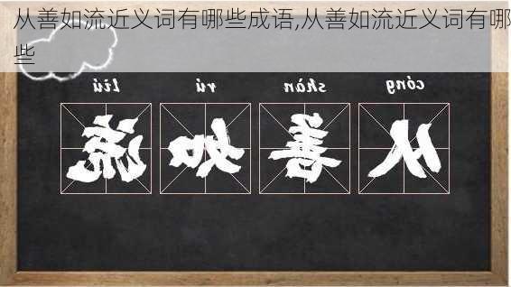 从善如流近义词有哪些成语,从善如流近义词有哪些