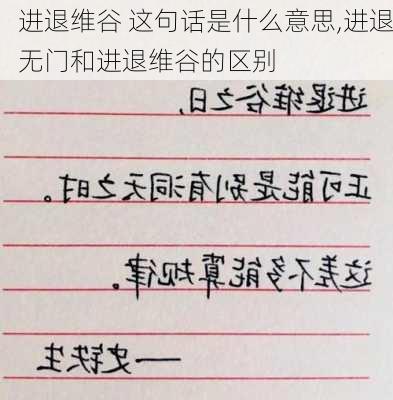 进退维谷 这句话是什么意思,进退无门和进退维谷的区别