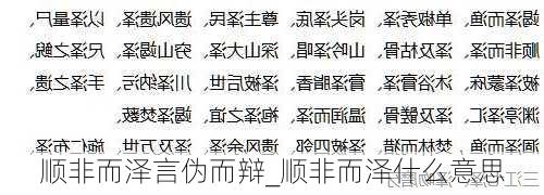 顺非而泽言伪而辩_顺非而泽什么意思