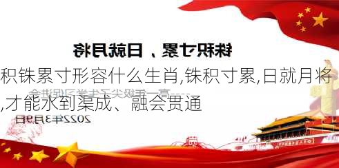 积铢累寸形容什么生肖,铢积寸累,日就月将,才能水到渠成、融会贯通