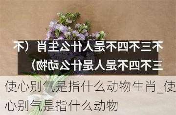 使心别气是指什么动物生肖_使心别气是指什么动物