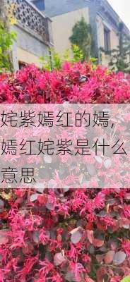 姹紫嫣红的嫣,嫣红姹紫是什么意思