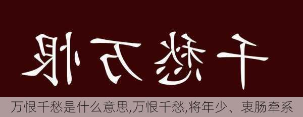 万恨千愁是什么意思,万恨千愁,将年少、衷肠牵系