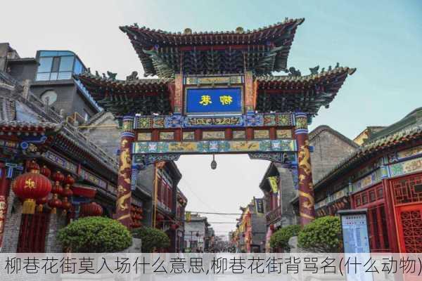 柳巷花街莫入场什么意思,柳巷花街背骂名(什么动物)