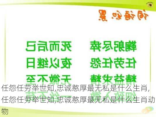 任怨任劳举世知,忠诚憨厚最无私是什么生肖,任怨任劳举世知,忠诚憨厚最无私是什么生肖动物