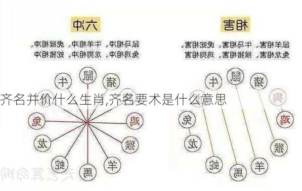 齐名并价什么生肖,齐名要术是什么意思