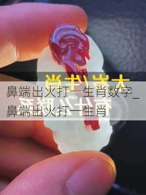 鼻端出火打一生肖数字_鼻端出火打一生肖