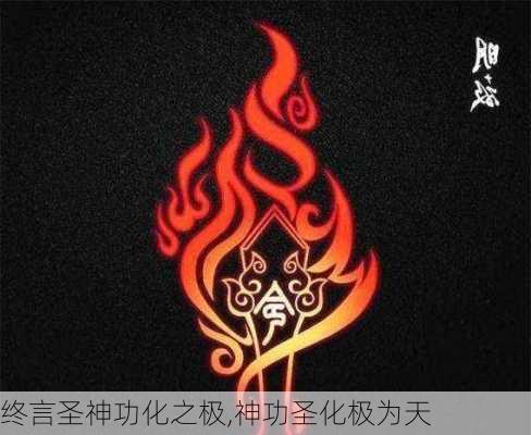 终言圣神功化之极,神功圣化极为天