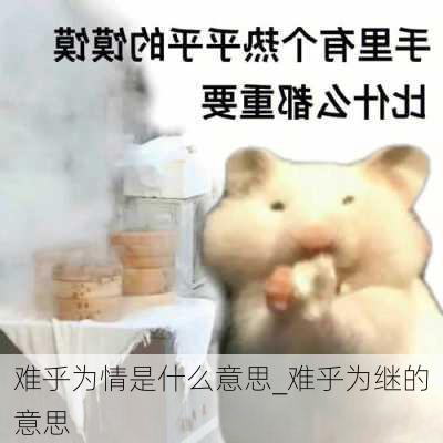 难乎为情是什么意思_难乎为继的意思