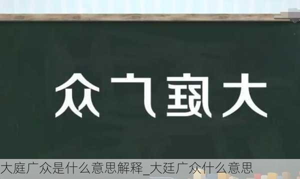 大庭广众是什么意思解释_大廷广众什么意思