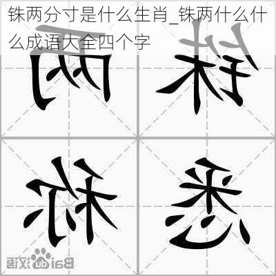 铢两分寸是什么生肖_铢两什么什么成语大全四个字