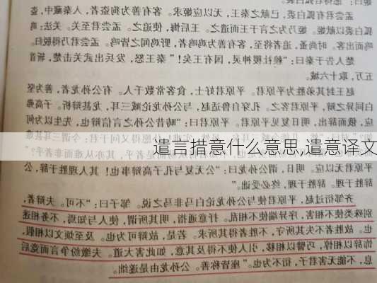 遣言措意什么意思,遣意译文