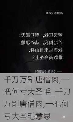 千刀万剐唐僧肉,一把何亏大圣毛_千刀万剐唐僧肉,一把何亏大圣毛意思