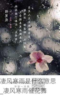 凄风寒雨是什么意思_凄风寒雨催花舞