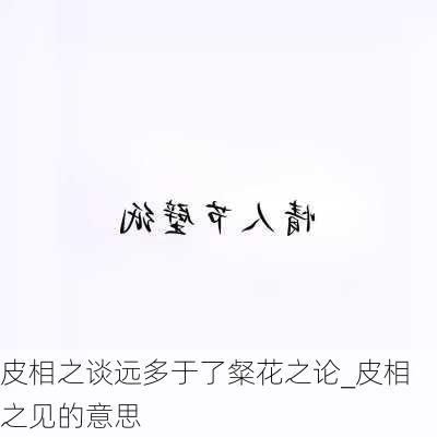 皮相之谈远多于了粲花之论_皮相之见的意思